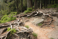 exportexpert - Seminar - Training - Holzweg